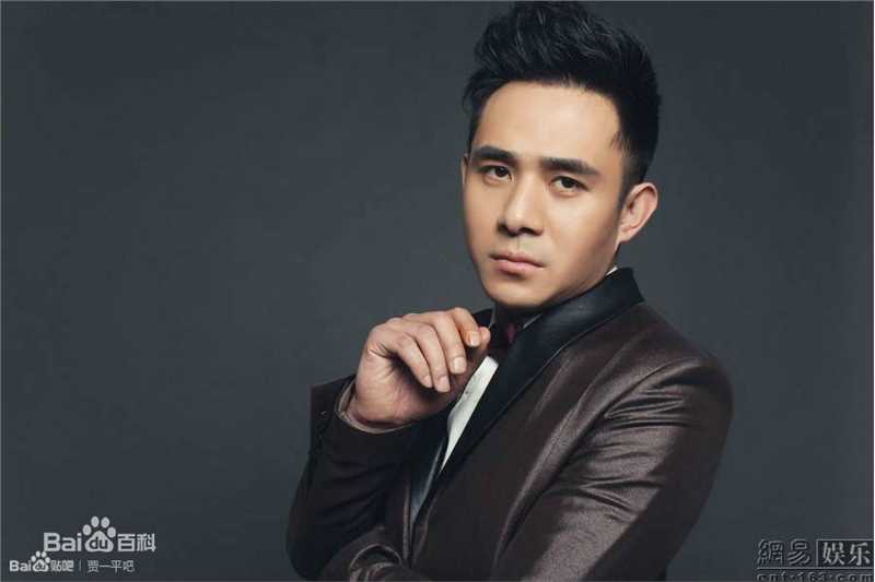 贾一平最全集相册