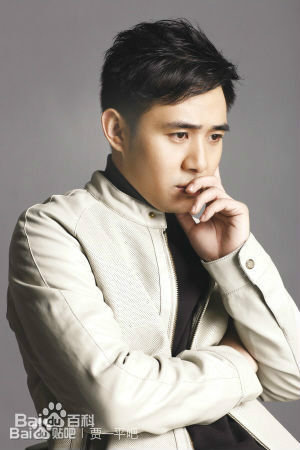 贾一平最全集相册