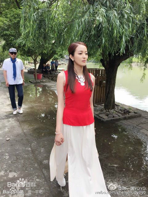 贾一平电影作品剧照