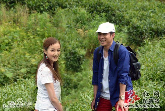 贾一平电影作品剧照