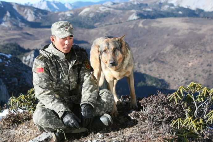 贾一平军旅电视剧作品最全剧照
