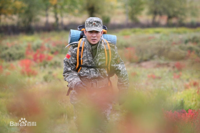 贾一平军旅电视剧作品最全剧照