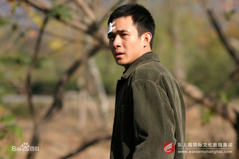 贾一平现代电视剧作品最优质剧照