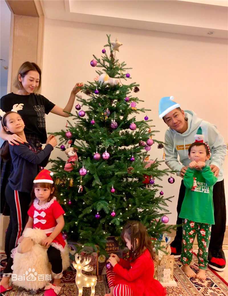 陈浩民(Benny Chan)全家福生活照相册