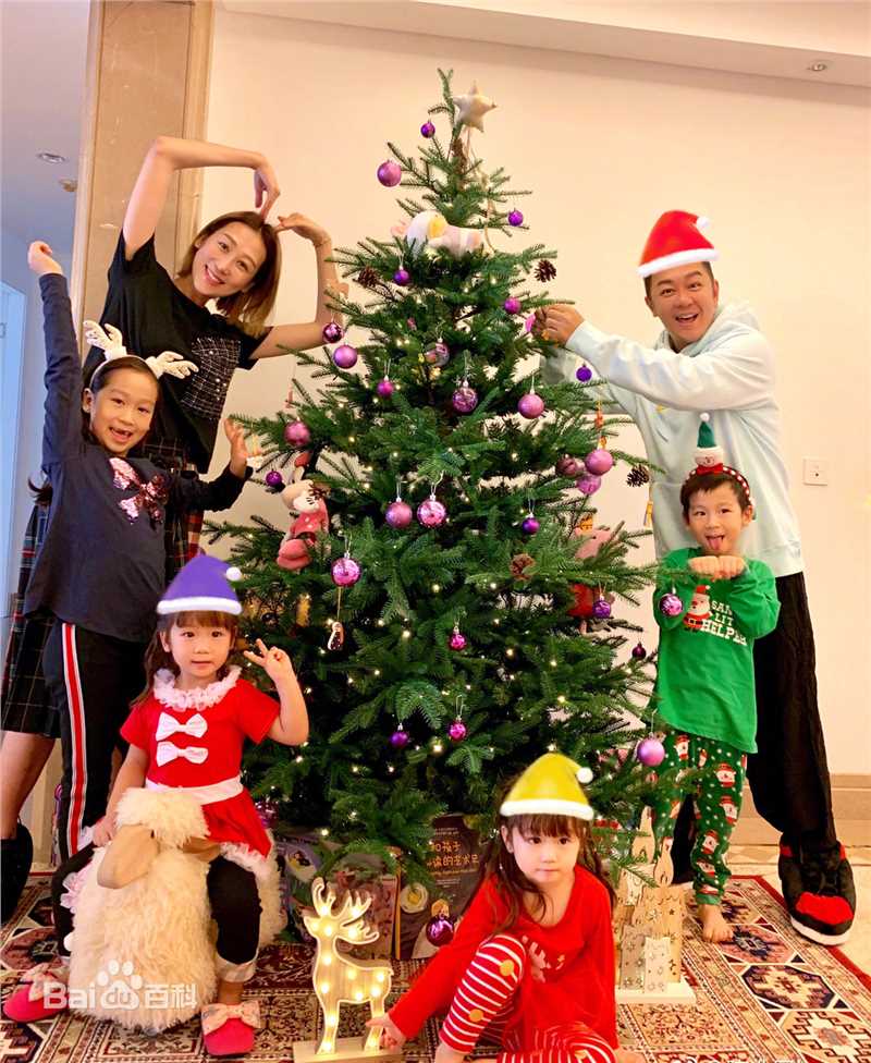 陈浩民(Benny Chan)全家福生活照相册