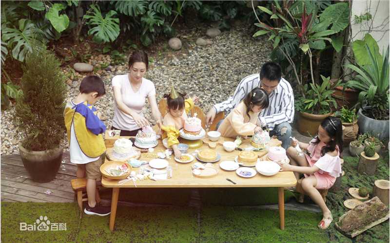 陈浩民(Benny Chan)全家福生活照相册