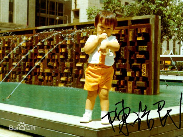 陈浩民(Benny Chan)童年趣照素颜照壁纸