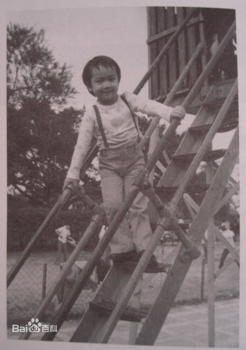 陈浩民(Benny Chan)童年趣照素颜照壁纸