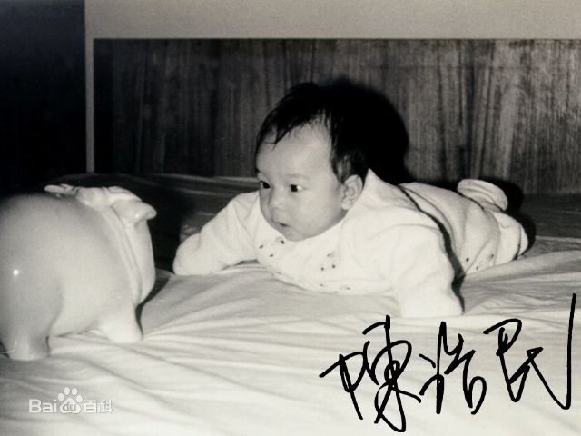 陈浩民(Benny Chan)童年趣照素颜照壁纸