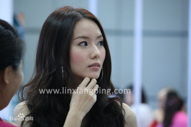 林湘萍(Yvonne Lim)--活动性感图片壁纸