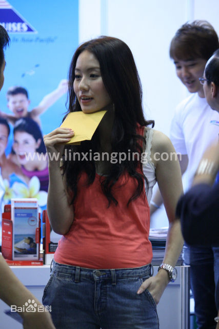 林湘萍(Yvonne Lim)--活动性感图片壁纸