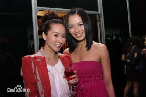 林湘萍(Yvonne Lim)--活动性感图片壁纸