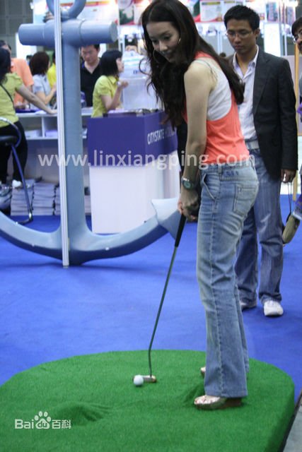 林湘萍(Yvonne Lim)--活动性感图片壁纸