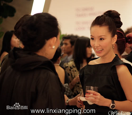 林湘萍(Yvonne Lim)--活动性感图片壁纸