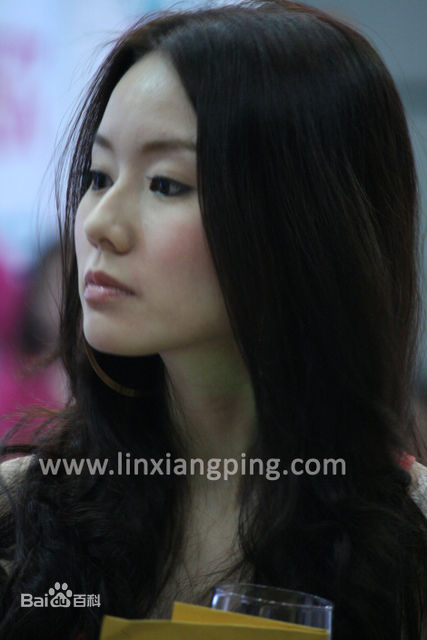 林湘萍(Yvonne Lim)--活动性感图片壁纸