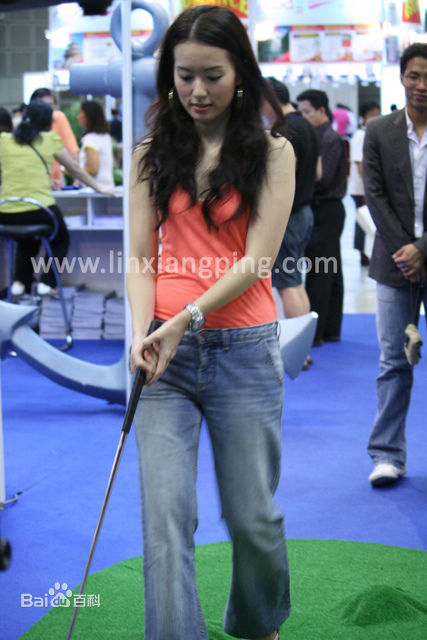 林湘萍(Yvonne Lim)--活动性感图片壁纸