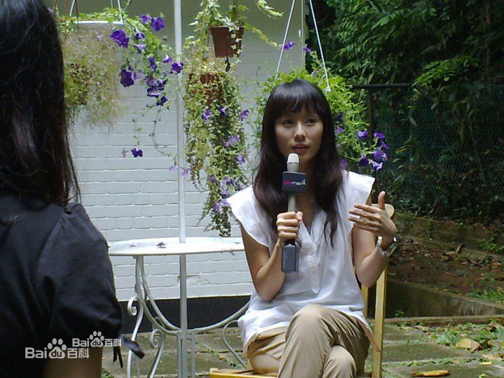 林湘萍(Yvonne Lim)秘密花园-许美娥(Swan)壁纸壁纸