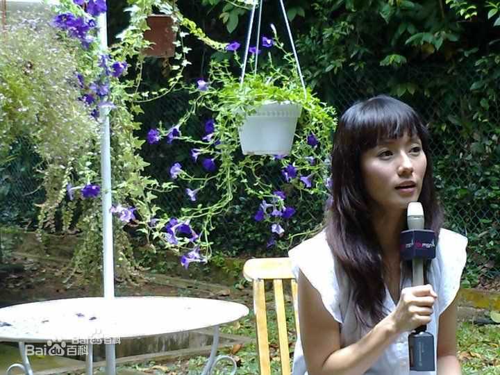 林湘萍(Yvonne Lim)秘密花园-许美娥(Swan)壁纸壁纸