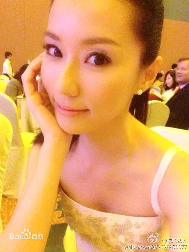 林湘萍(Yvonne Lim)--亚洲电视大奖前后照片