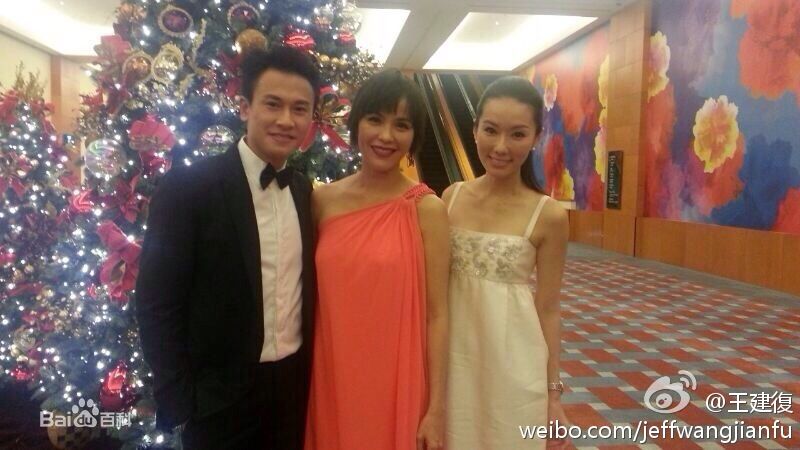 林湘萍(Yvonne Lim)--亚洲电视大奖前后照片