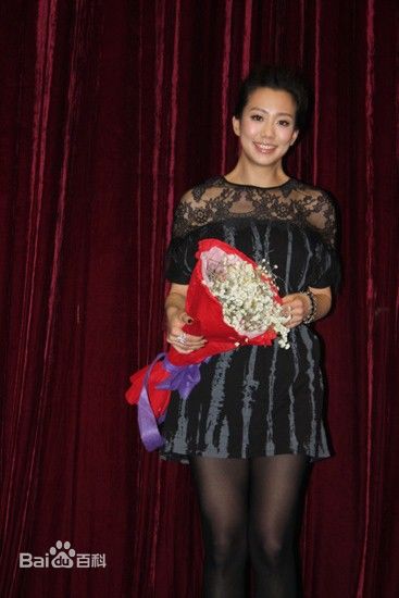 吴辰君(Annie Wu)活动照壁纸壁纸