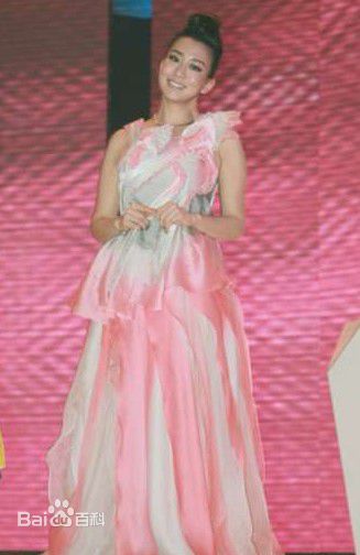 吴辰君(Annie Wu)活动照壁纸壁纸