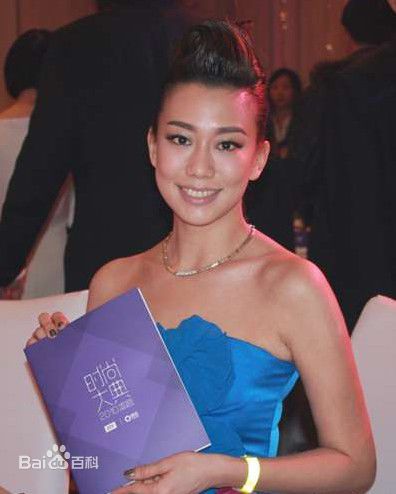 吴辰君(Annie Wu)活动照壁纸壁纸