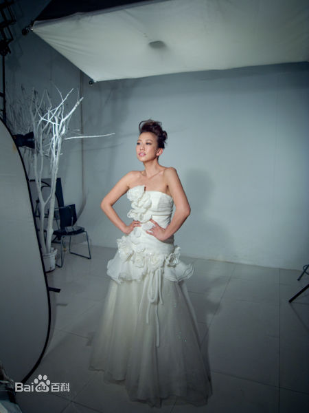 最全吴辰君(Annie Wu)精彩图册