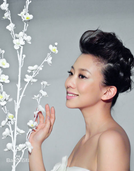 最全吴辰君(Annie Wu)精彩图册