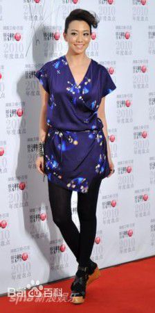 吴辰君(Annie Wu)活动照图册