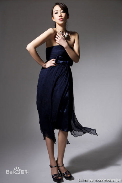 吴辰君(Annie Wu)艺术照图片图册