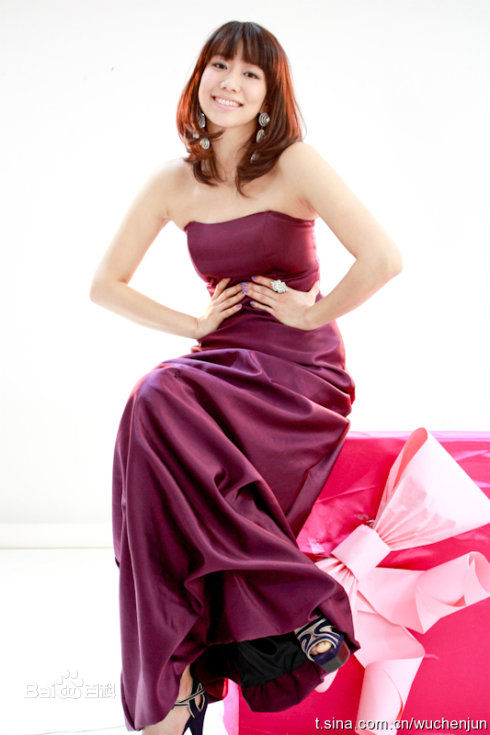 吴辰君(Annie Wu)艺术照图片图册