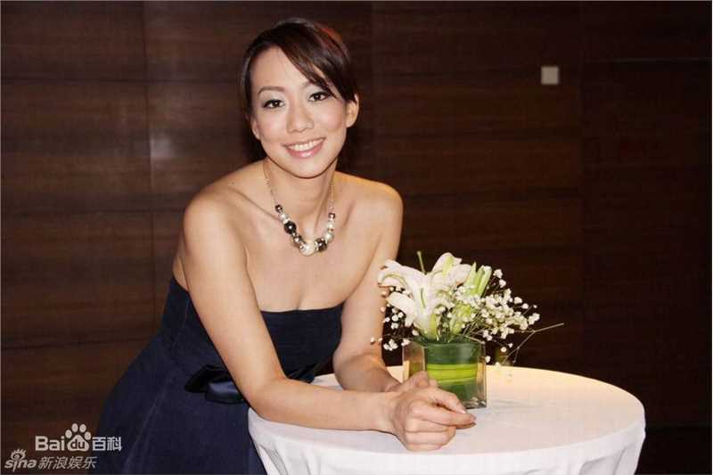 高清吴辰君(Annie Wu)精彩图册