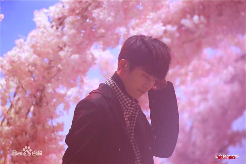 易烊千玺(Jackson)十六岁生日会壁纸壁纸