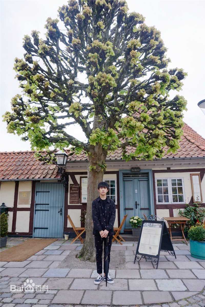 易烊千玺(Jackson)丹麦王国旅游形象代言人生活照相册