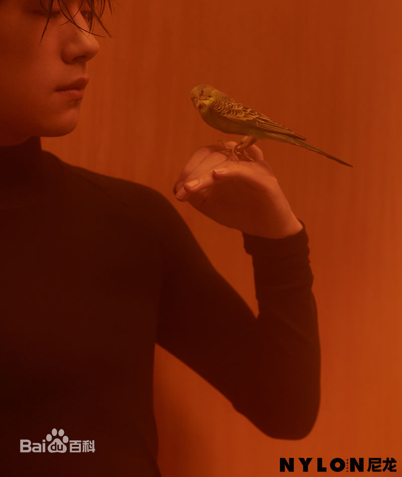 最新易烊千玺(Jackson)在《NYLON》中的壁纸