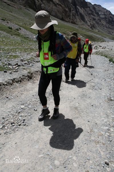 姜文(Jiang Wen)参加公益活动图册