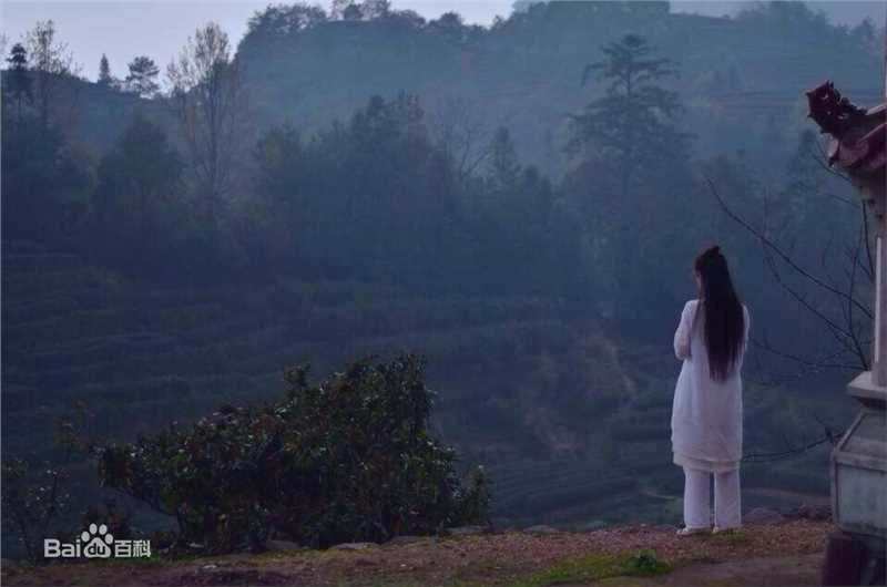 罗小伊(Royi)天天向上壁纸壁纸