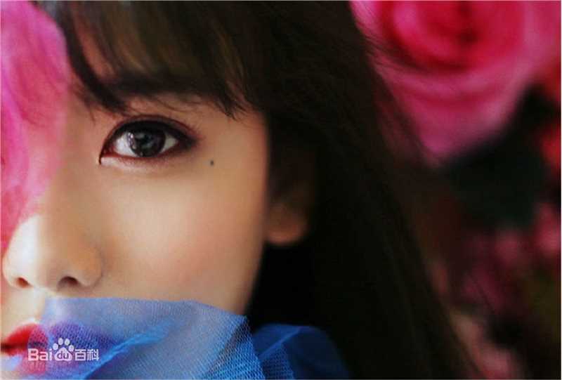 罗小伊(Royi)南笙图册