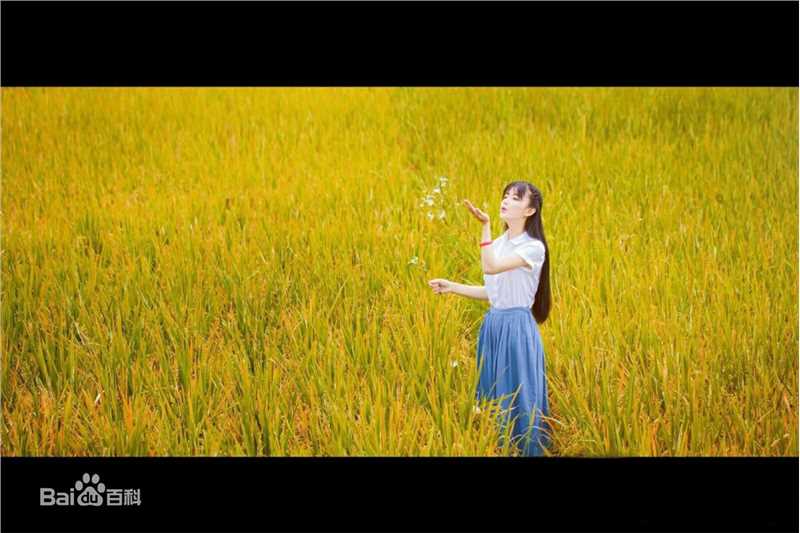 罗小伊(Royi)荧屏之路素颜照相册