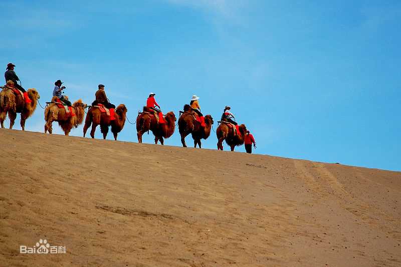 最新徐露性感图片
