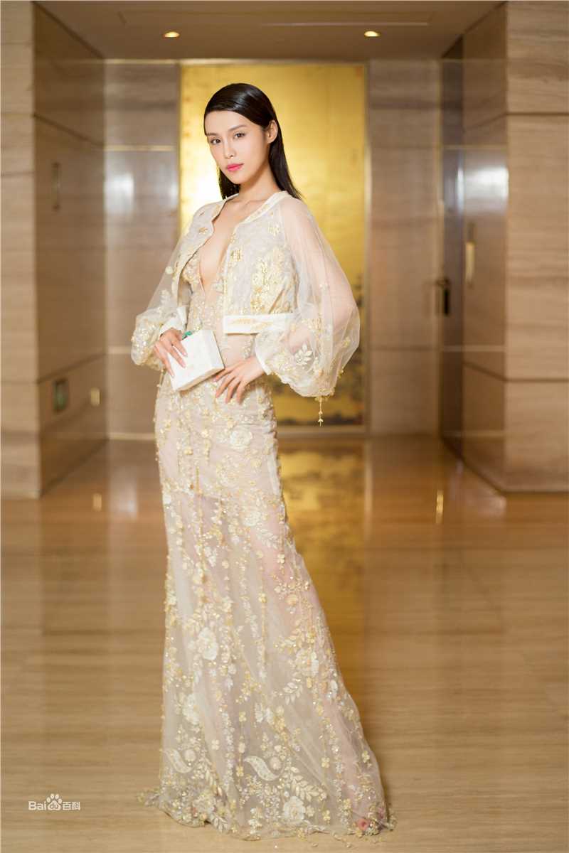 韩丹彤(dan tong Han)红毯活动生活照