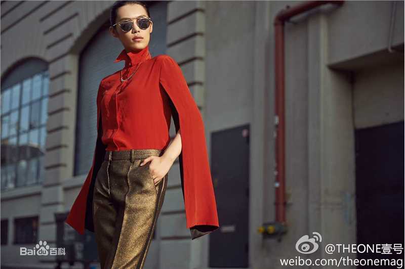 韩丹彤(dan tong Han)街拍壁纸壁纸