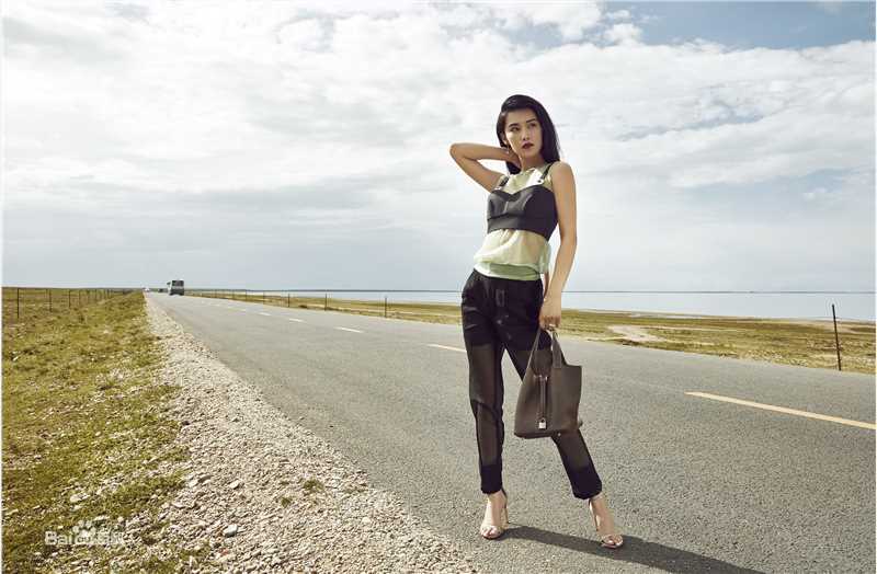 韩丹彤(dan tong Han)街拍壁纸壁纸