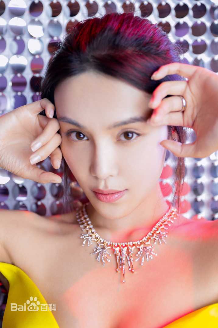 韩丹彤(dan tong Han)芭莎珠宝之夜素颜照相册