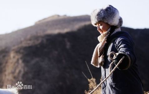 傅晶微博图片图片图册