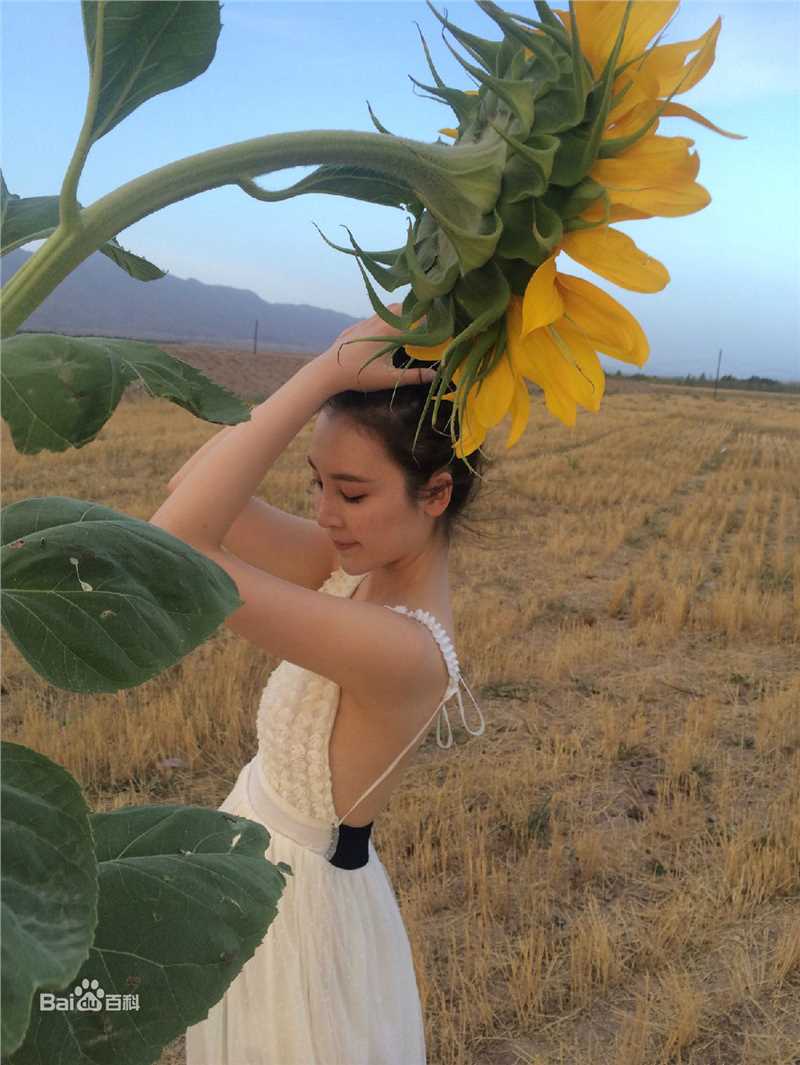 袁菲个人生活生活照相册