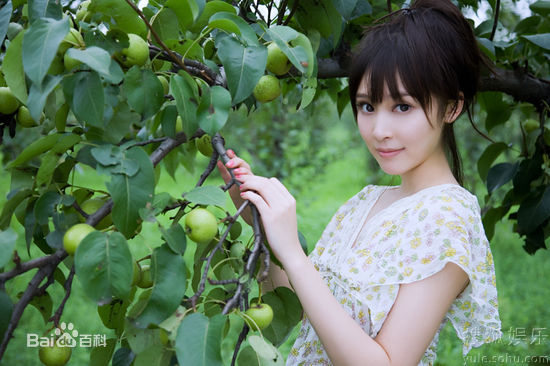 高清袁菲精彩图册