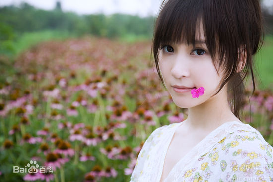 高清袁菲精彩图册