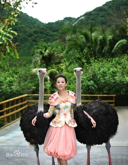 苗圃最新自由壁纸